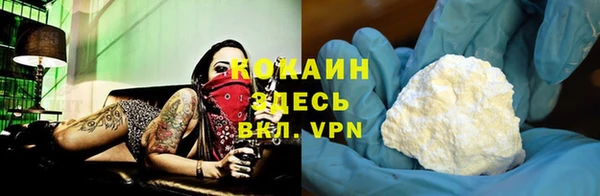 гашик Няндома
