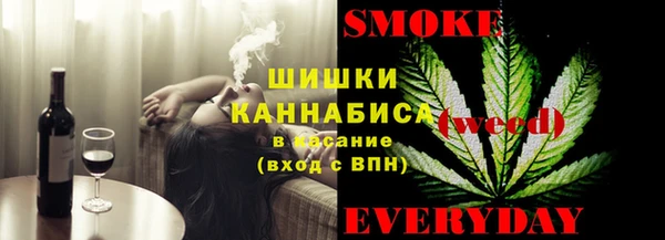 гашик Няндома