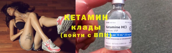 гашик Няндома
