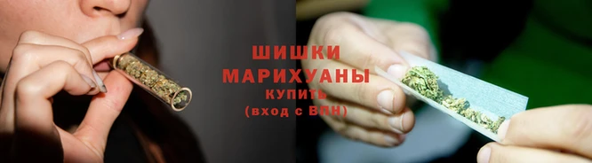 гидропоника Нягань