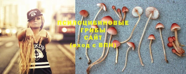 гашик Няндома