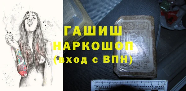 гашик Няндома