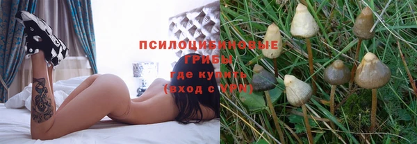 гашик Няндома