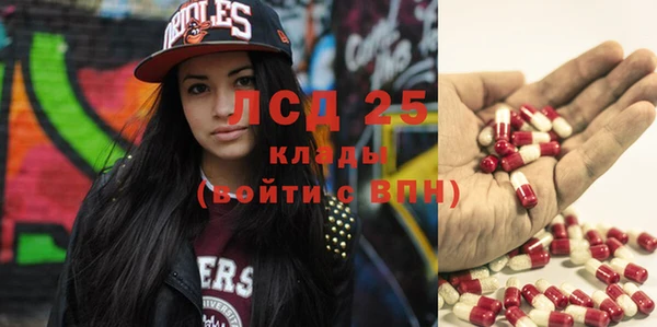 гашик Няндома