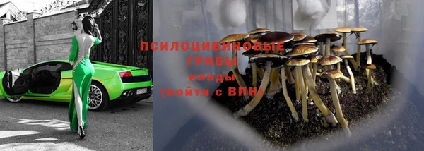 гидропоника Нягань