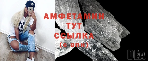 гашик Няндома