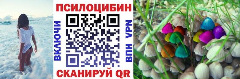 сайты даркнета Telegram  Касли  Псилоцибиновые грибы Psilocybine cubensis  гидра вход 