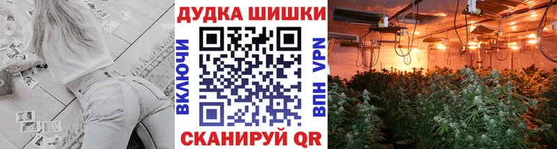 продажа наркотиков  Касли  Конопля индика 